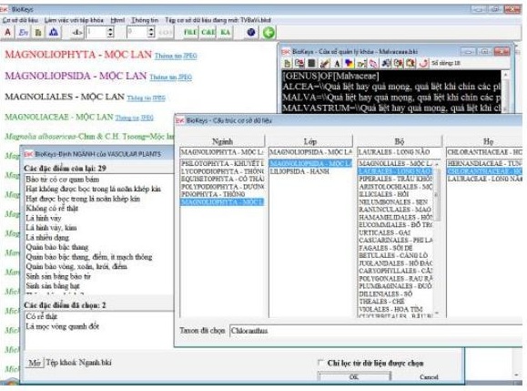 Phần mềm Biokeys cho phép tạo và sử dụng khóa đa truy và khóa lưỡng phân